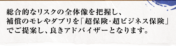 総合的なリスクの全体像を把握し、補償のモレやダブリを「超保険・超ビジネス保険」でご提案し、良きアドバイザーとなります。